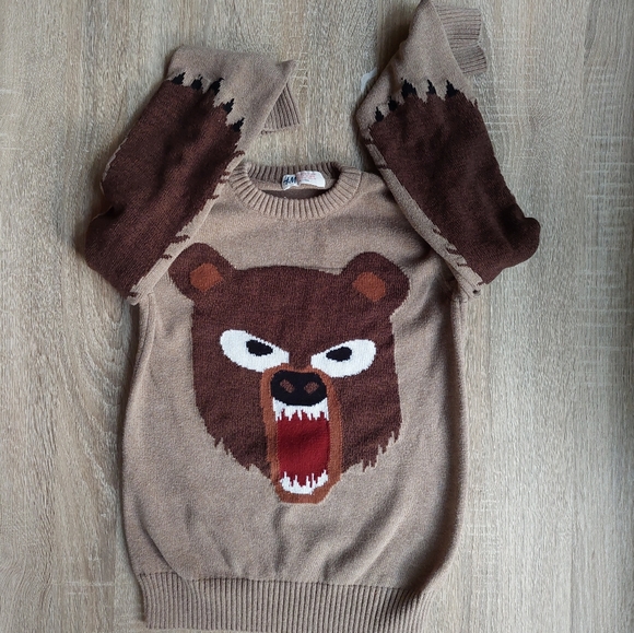 H&M vguc/euc grizzly bear sweater 8-10 years - Picture 2 of 11